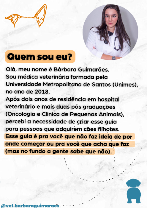 Captura de tela 2025-05-07 204541