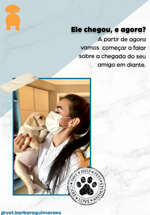 Captura de tela 2025-05-07 204610