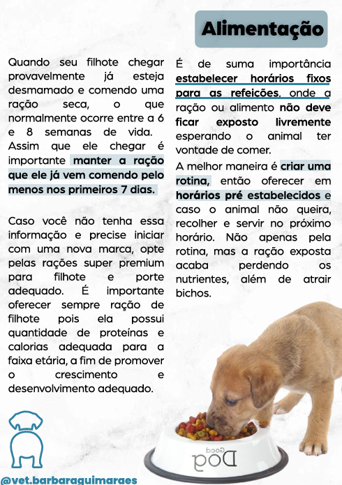 Captura de tela 2025-05-07 204625